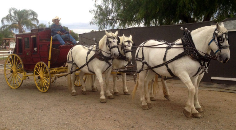 STAGECOACH-horse-rentals - Cinderella Carriages & Hay Wagon Rides