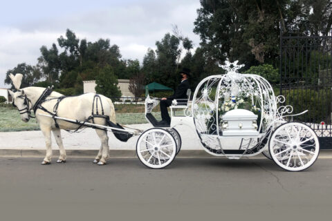 evo electric enchanted carriage