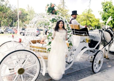 Wedding Carriages
