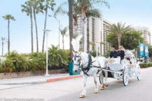 Disneyland Horse Carriage Rental