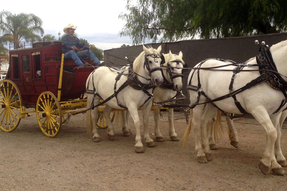 Henderson Stagecoach