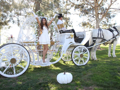 Cinderella Carriages