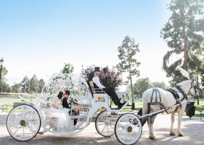 wedding princess carriage