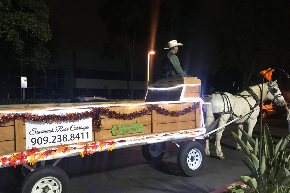 Hay Ride Horse Wagon
