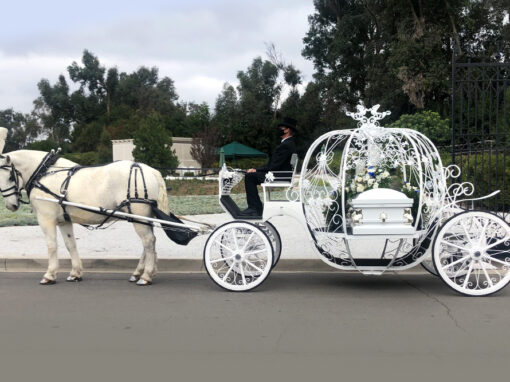 Funeral Cinderella Carriage