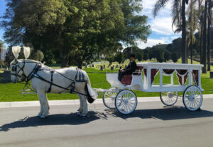 Traditional Hearse Carriage