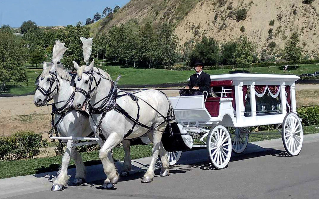 Traditional Hearse Carriage