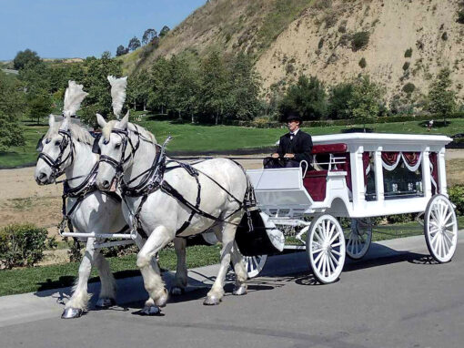 Traditional Hearse Carriage